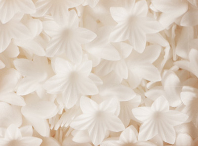 cake-design-flor-branca-2cm-bulk.jpg cake-design-flor-branca-2cm-bulk.jpg