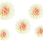 flores-papel-brancas.png