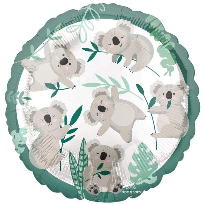 koala-balao-standard.jpg koala-balao-standard.jpg