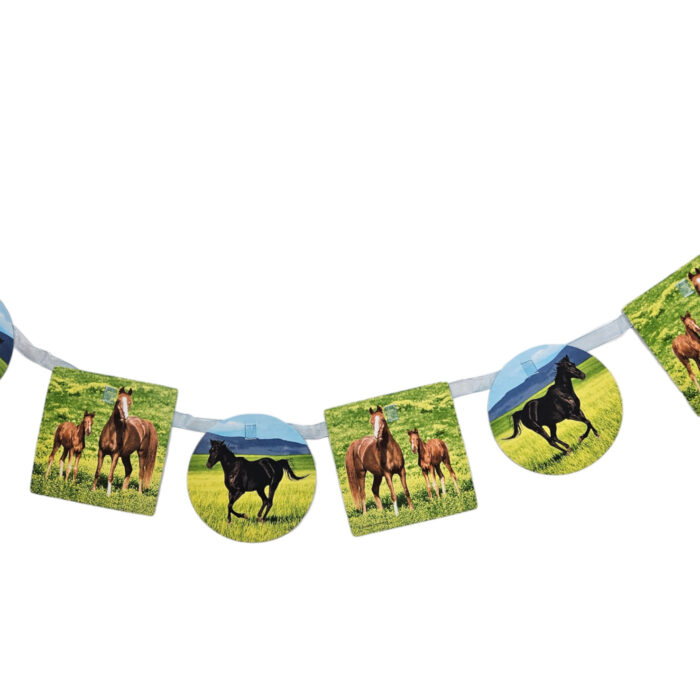 quinta-cavalo-faixa.jpeg quinta-cavalo-faixa.jpeg